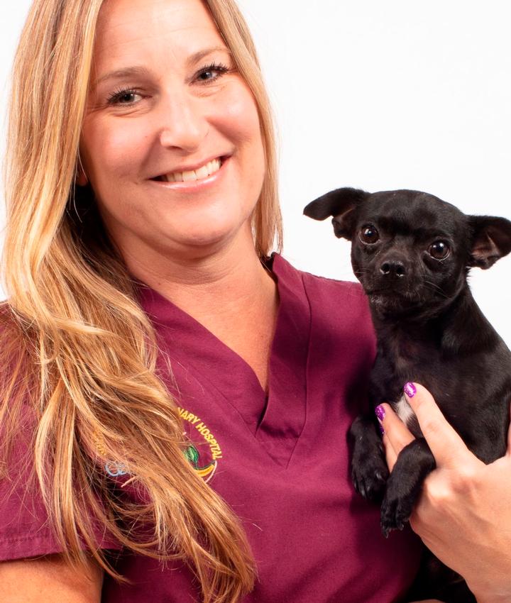 Woodland Hills Veterinarians | Cats & Dogs